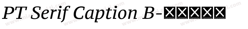 PT Serif Caption B字体转换
